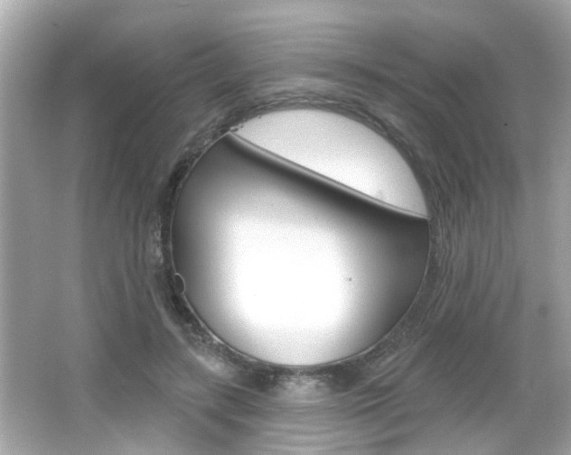 X0000066490547200603170926