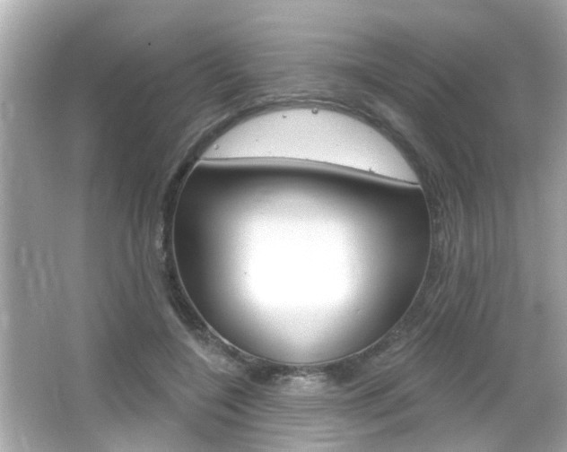 X0000066490548200603170926