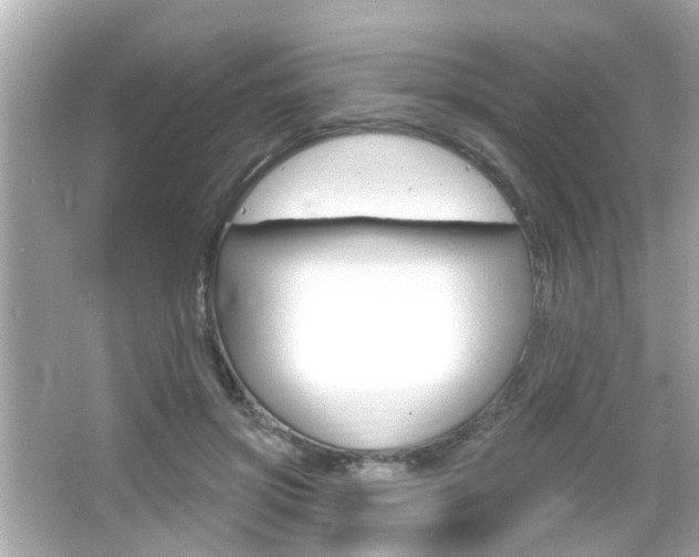 X0000066490549200603170926