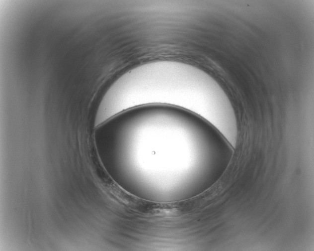 X0000066490552200603170927