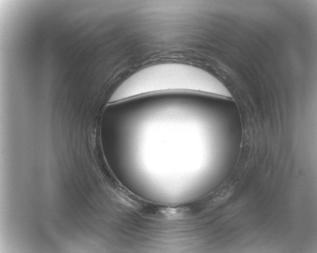 X0000066490558200603170927