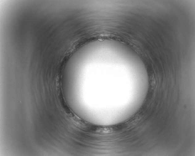 X0000066490559200603170927