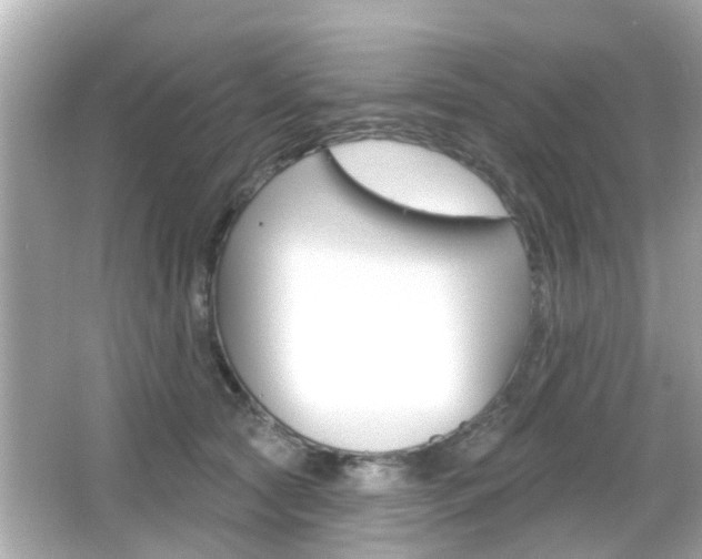 X0000066490561200603170927