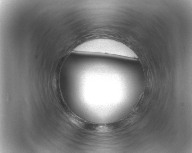 X0000066490562200603170927