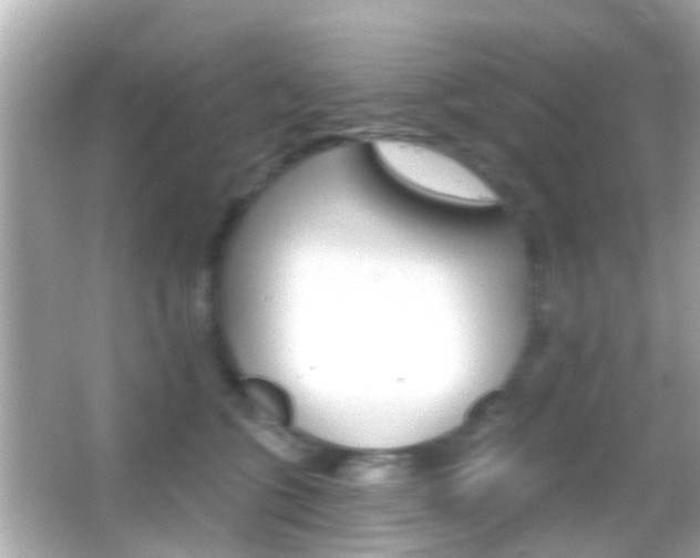 X0000066490563200603170927
