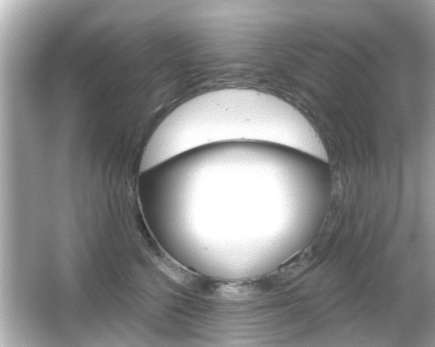 X0000066490568200603170927