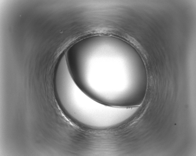 X0000066490577200603170926