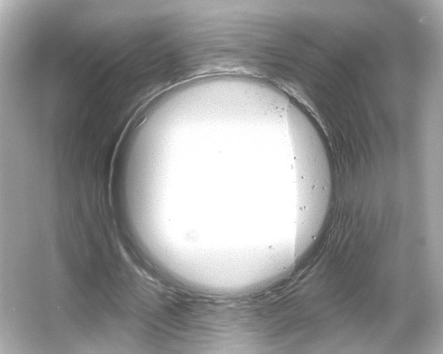 X0000066490579200603170926