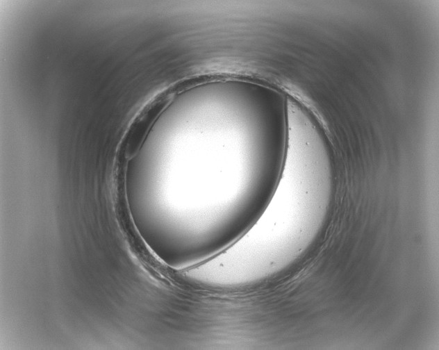 X0000066490580200603170926