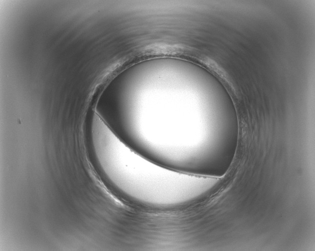 X0000066490581200603170926