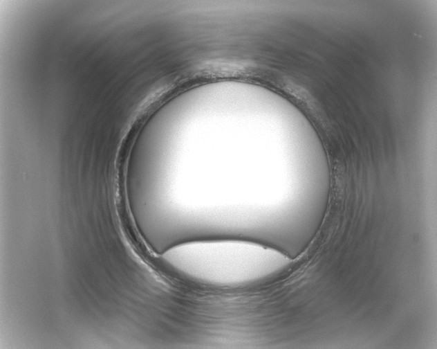 X0000066490582200603170926