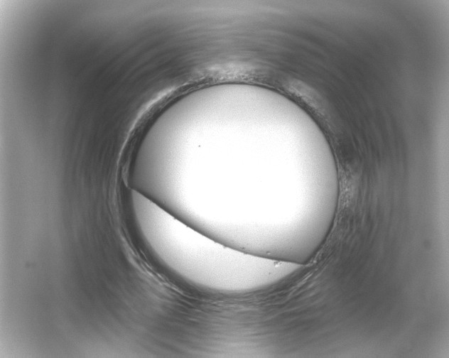 X0000066490583200603170926