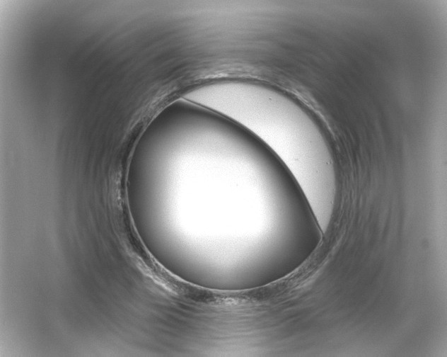X0000066490585200603170926
