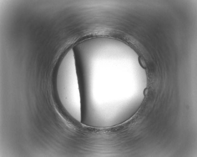 X0000066490586200603170926