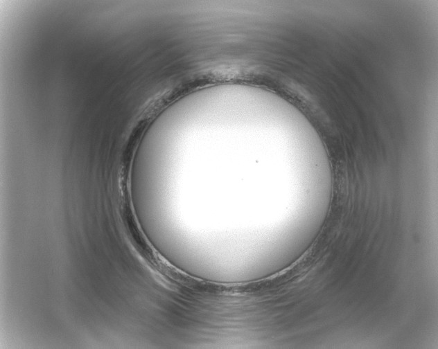 X0000066490590200603170926
