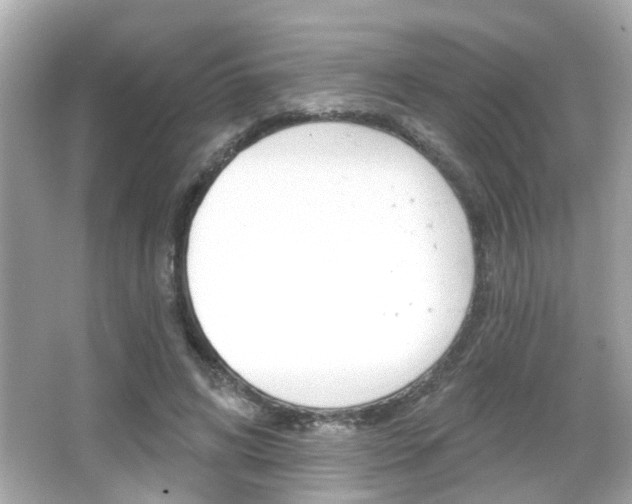 X0000066490592200603170926