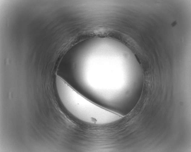 X0000066490593200603170926
