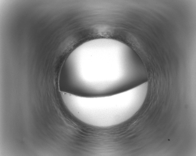 X0000066490595200603170926