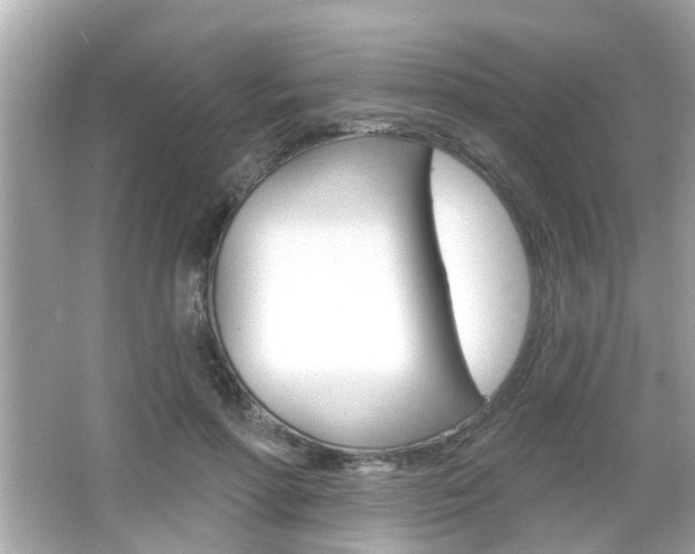 X0000066490598200603170926