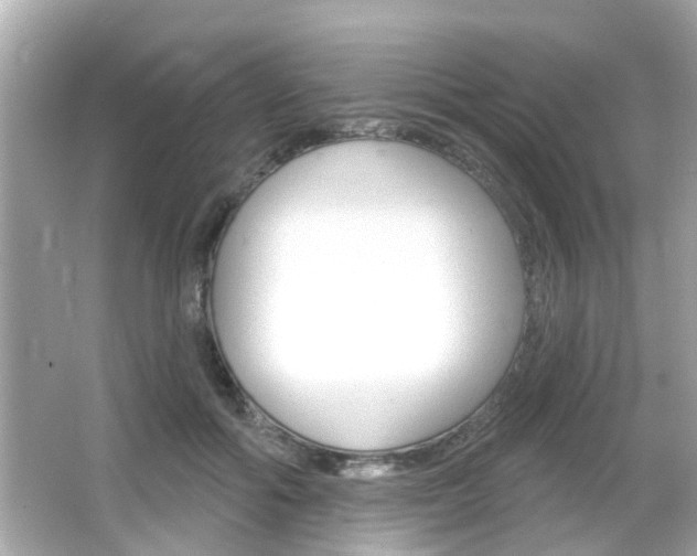 X0000066490602200603170926