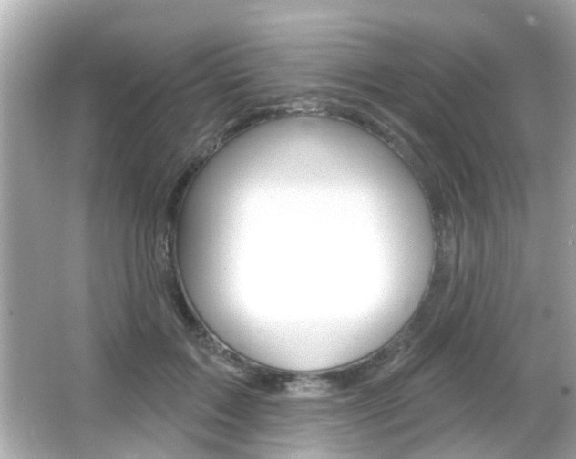 X0000066490603200603170926
