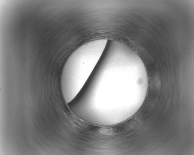 X0000066490606200603170926