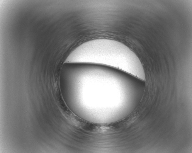 X0000066490607200603170926