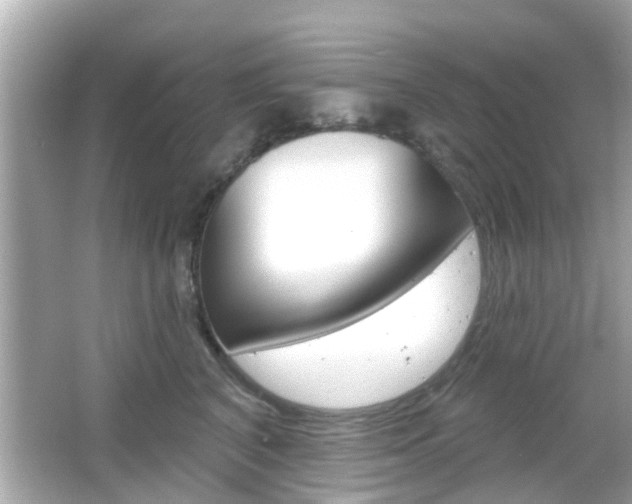 X0000066490616200603170925