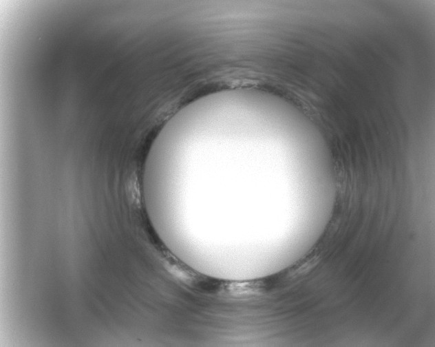 X0000066490622200603170925