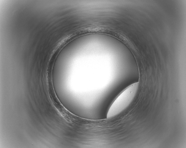 X0000066490626200603170925