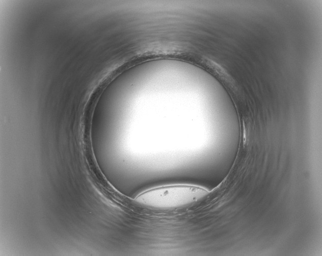 X0000066490627200603170925