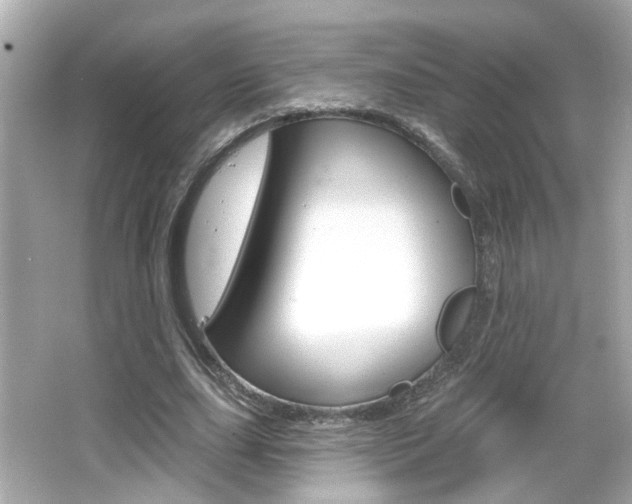 X0000066490631200603170925