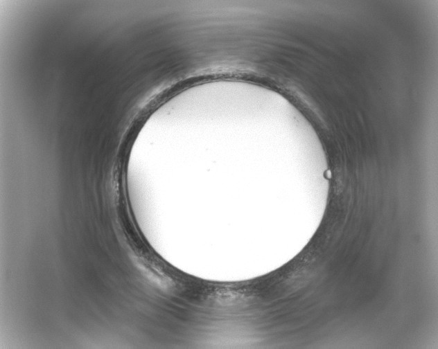 X0000066490632200603170925