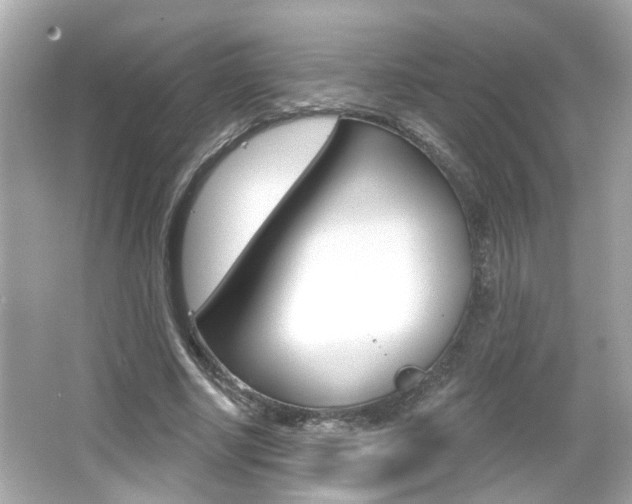 X0000066490634200603170925