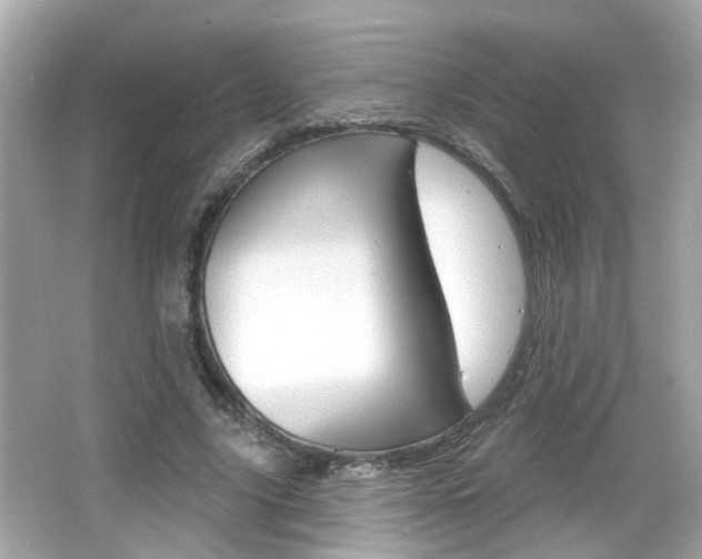 X0000066490635200603170925