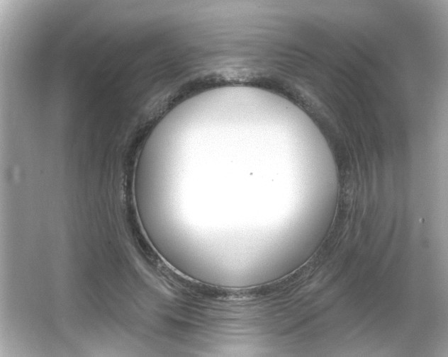 X0000066490639200603170925