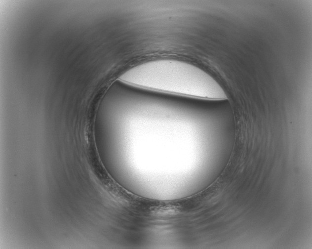 X0000066490643200603170925