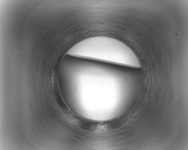 X0000066490647200603170925