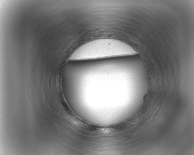 X0000066490654200603170925