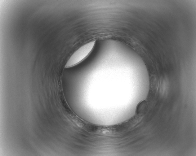 X0000066490655200603170925