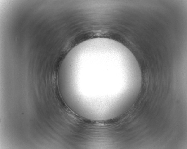 X0000066490657200603170925
