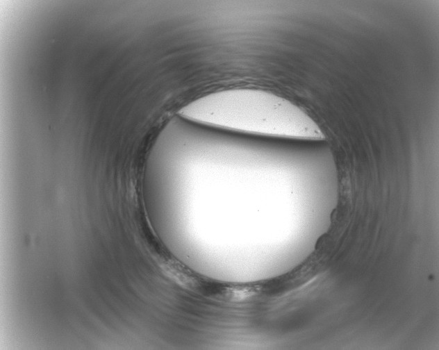 X0000066490662200603170925