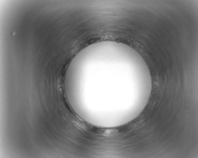 X0000066490663200603170925