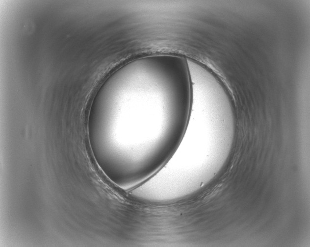 X0000066490673200603170925