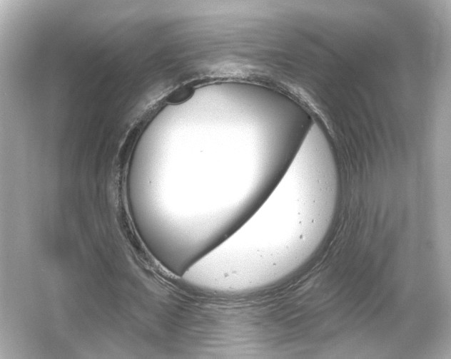 X0000066490675200603170925