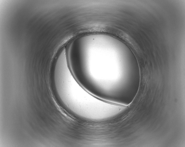 X0000066490677200603170924