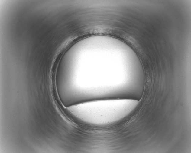 X0000066490678200603170924