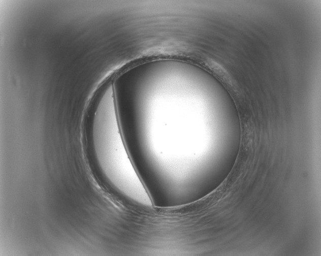 X0000066490680200603170924