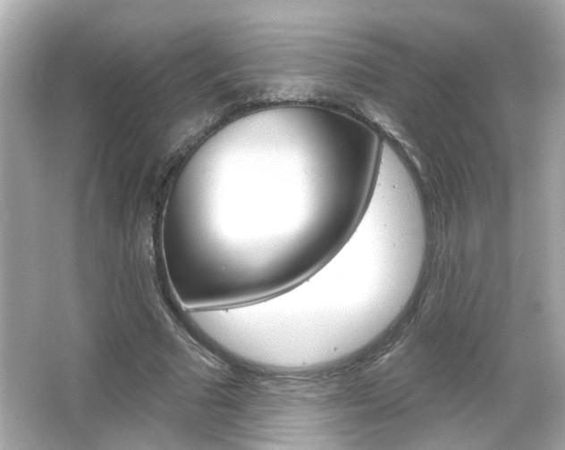 X0000066490681200603170924