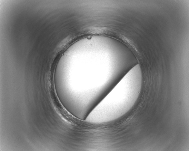 X0000066490682200603170924